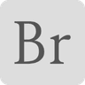 Brainstorms logo