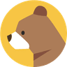 Brainybear.ai logo