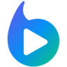 BRAIV logo