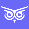 Brandwise logo