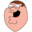 CanYouExplainTheJoke logo