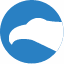 cityfalcon.ai logo