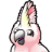 Cockatoo logo