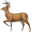 DeerFlow logo