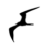 Frigate NVR logo
