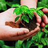 GreenThumb logo
