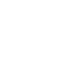 Lightscreen AI logo