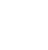 Echo AI logo