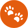 MyTalkingPet logo
