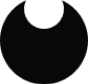newo.ai logo