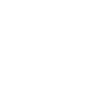 Nex AI logo