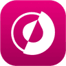 Olvy Changelogs logo
