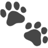 Pet Lens AI logo