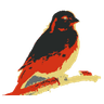 Rath by Kanarie logo