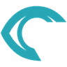 rsipvision.com logo