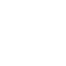 Sandra AI logo