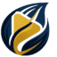 seeddance.video logo