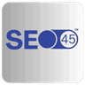 SEO45™ AI logo