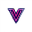 Vidgo AI logo