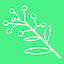 Wattle logo