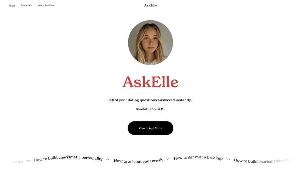 Ask Elle 工具截图