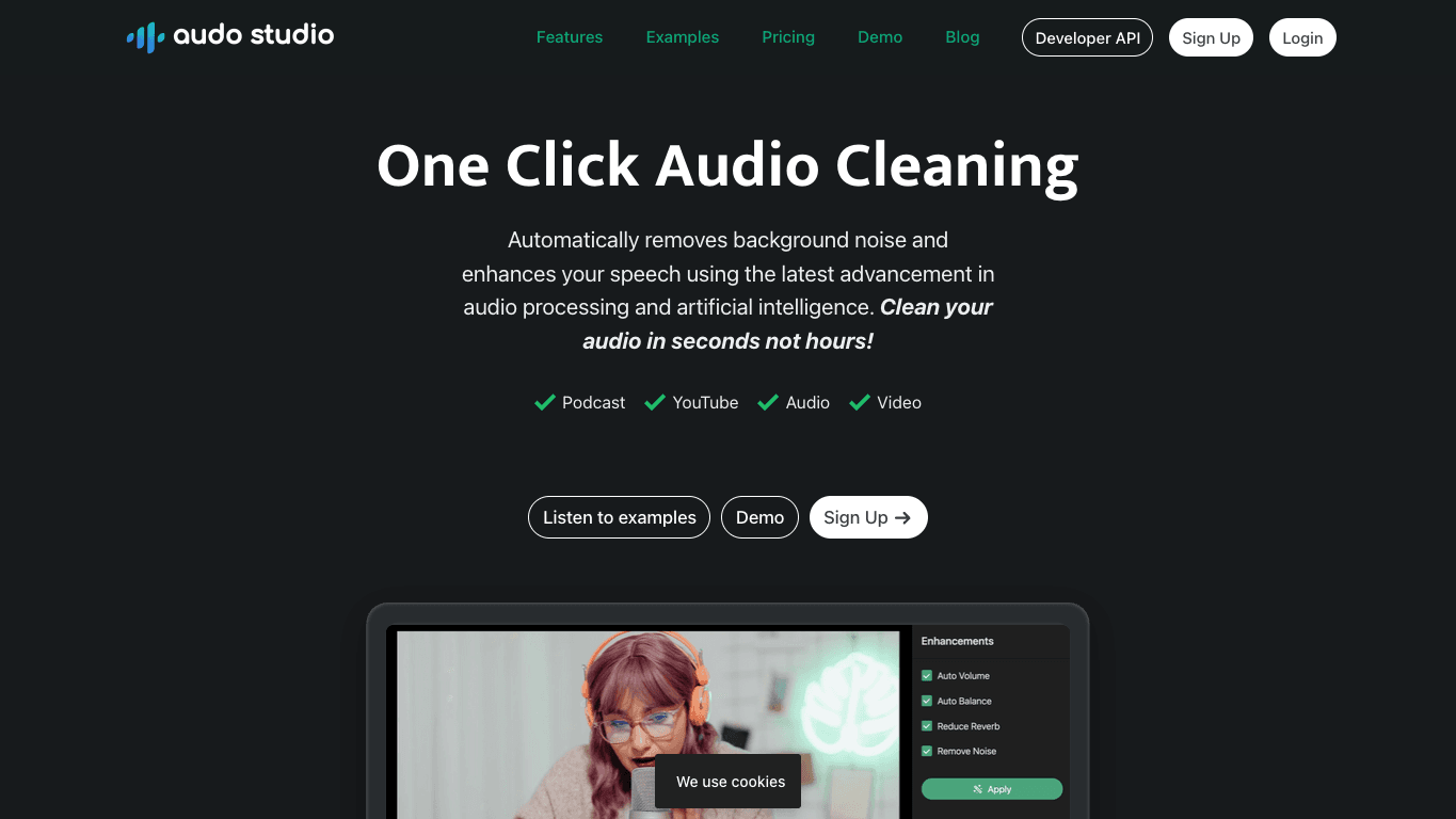 Audo AI 工具截图