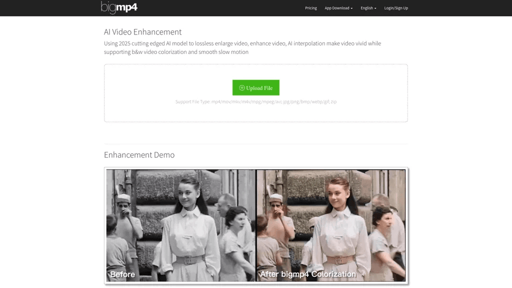 bigmp4 工具截图