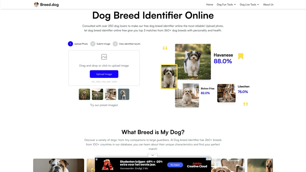 Breed.dog 官网截图