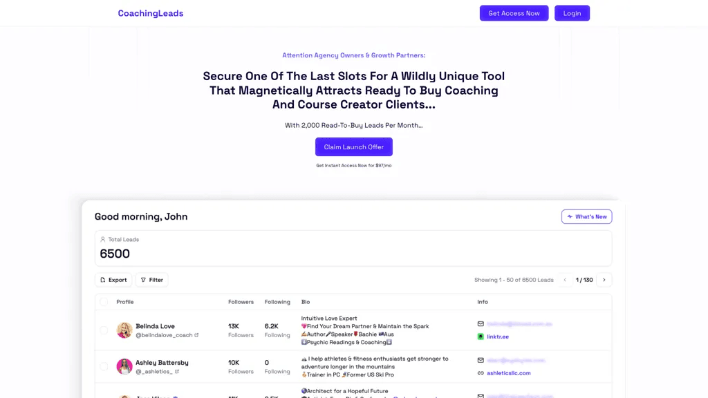 coachingleads.io 工具截图