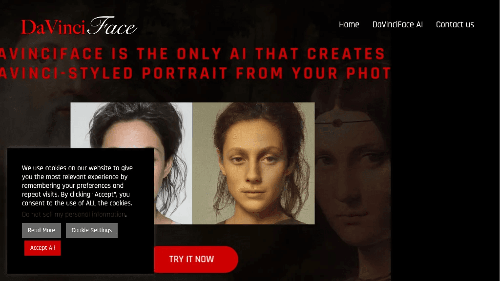 DaVinciFace 工具截图