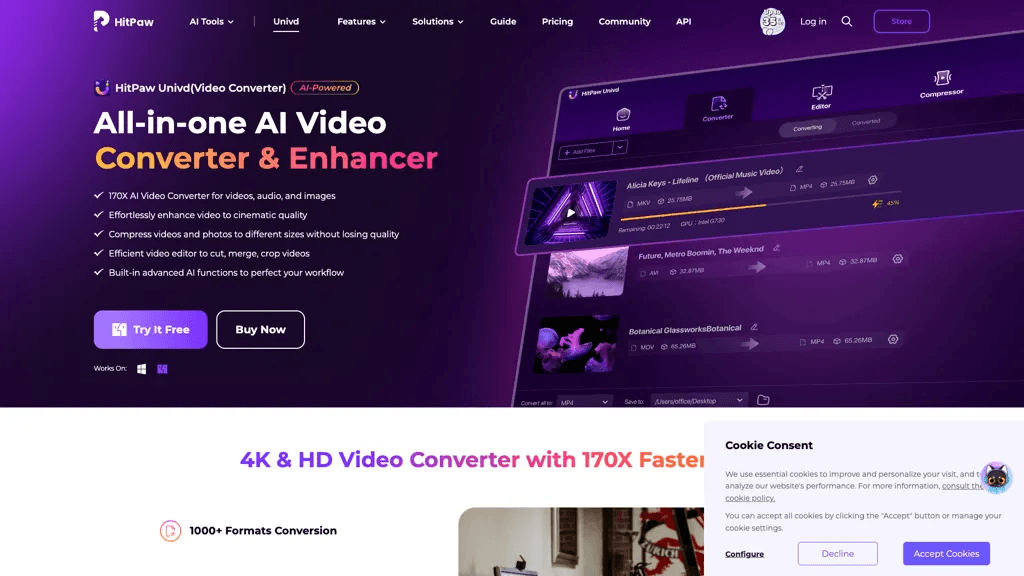 Hitpaw Video Converter 工具截图