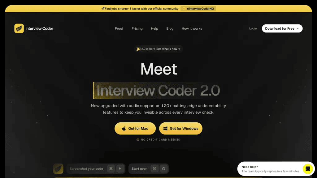 Interview Coder 工具截图