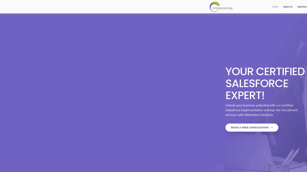 Metromaxsolutions.com 工具截图