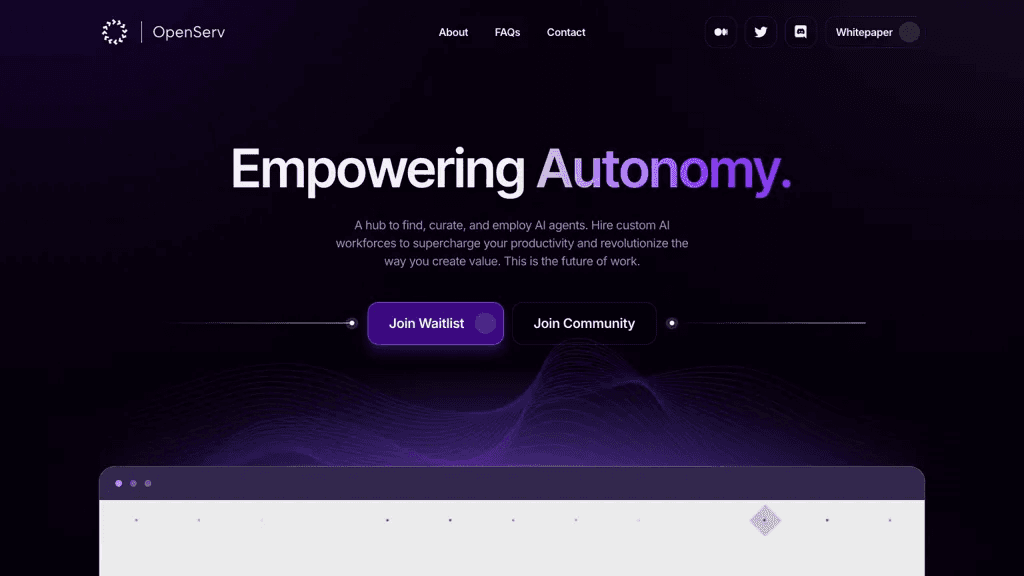 Openserv 工具截图