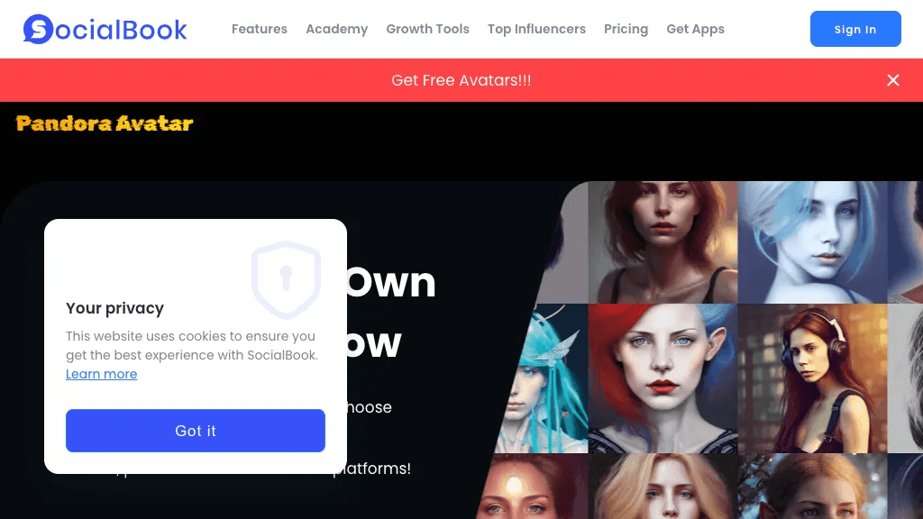 Pandora Avatars 工具截图
