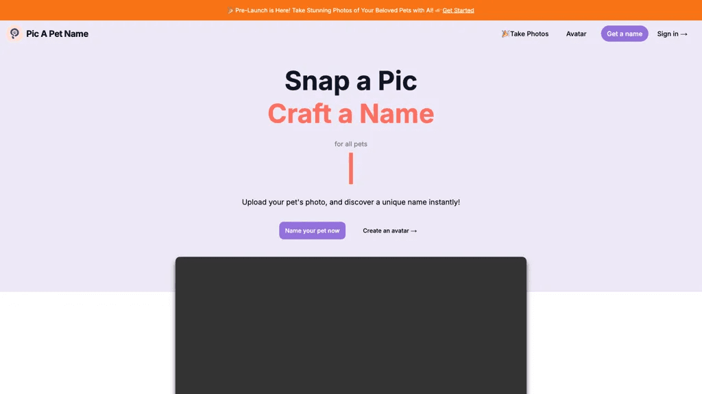 Pic A Pet Name 官网截图