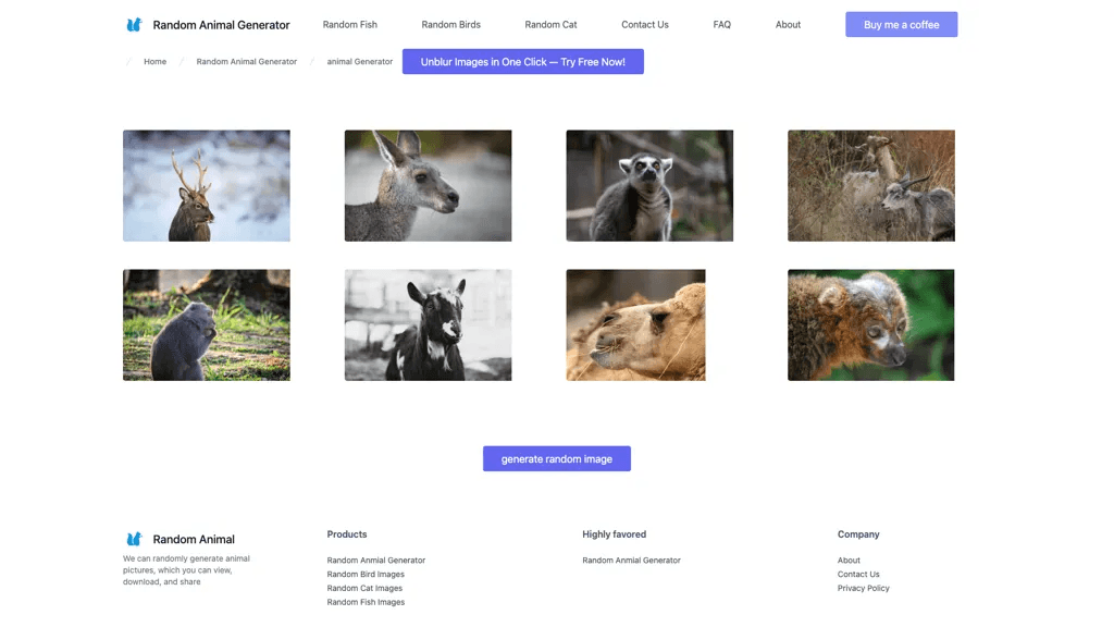 random animal generator 工具截图