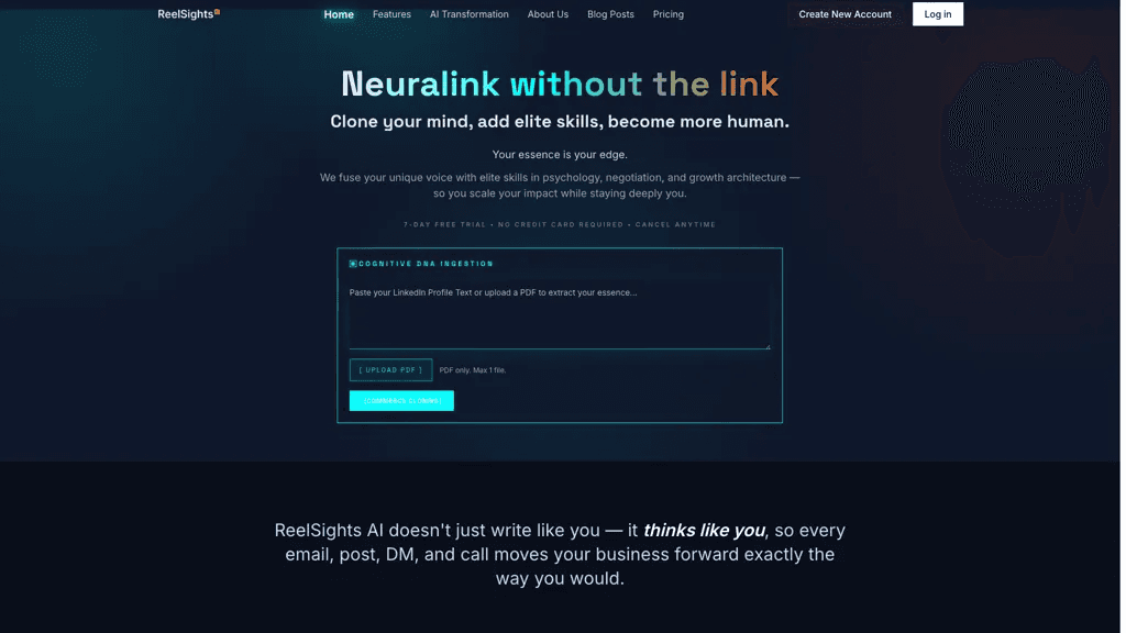Reelsights ai 工具截图