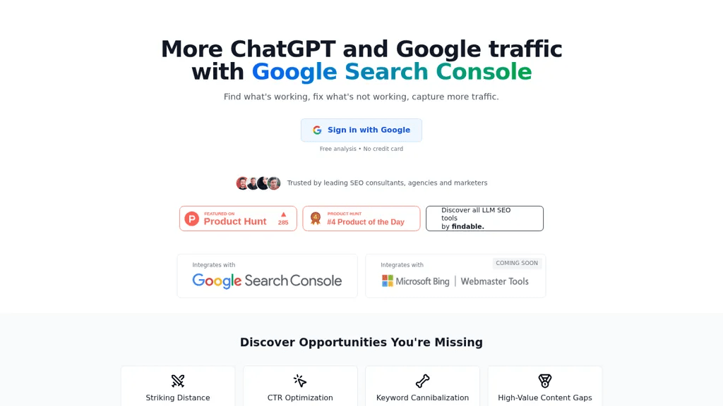 Search Console Audit 工具截图