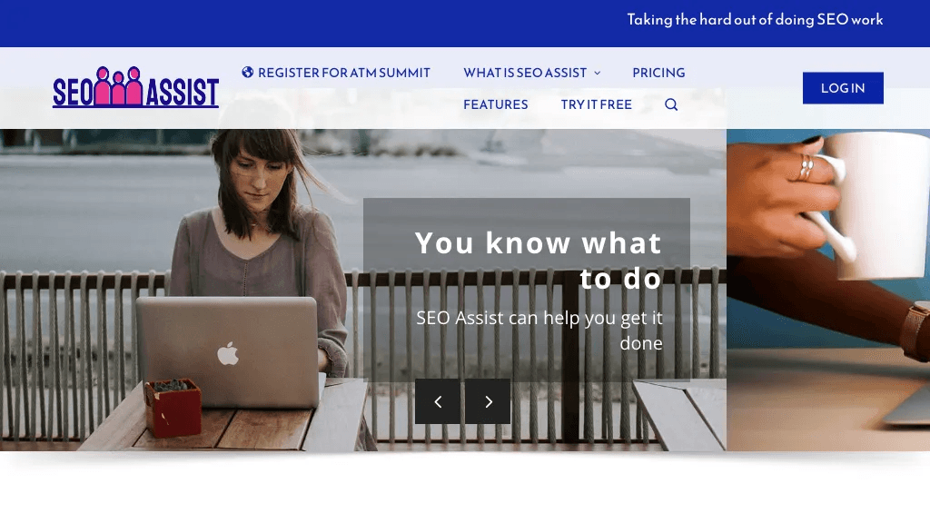SEO Assist 工具截图