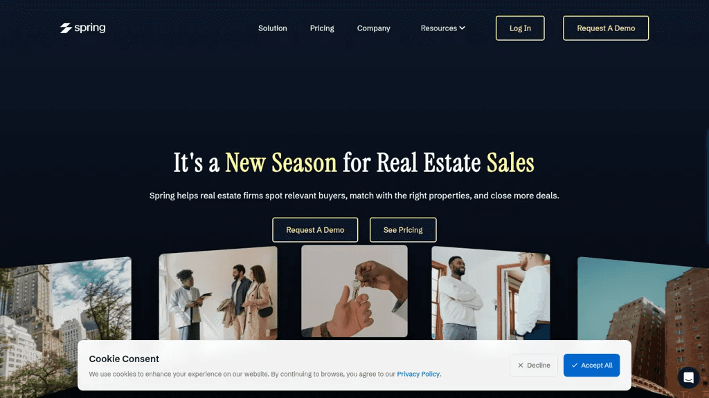 springreal.com 工具截图