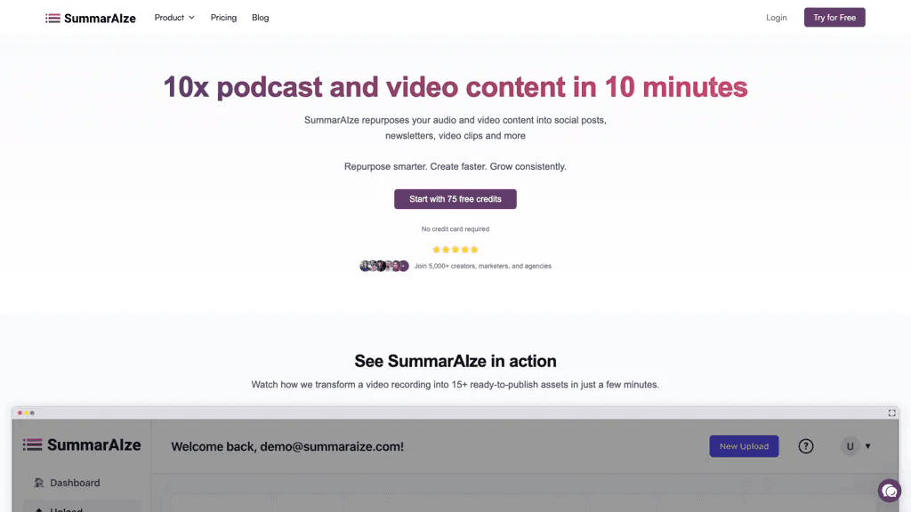 SummarAIze 工具截图