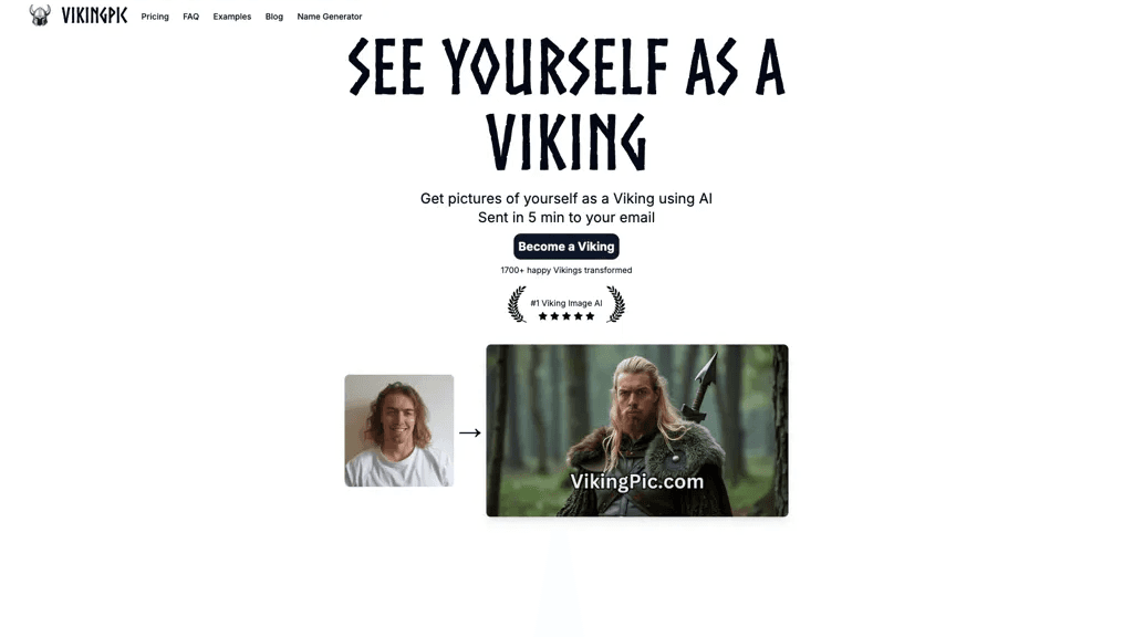 VikingPic 官网截图