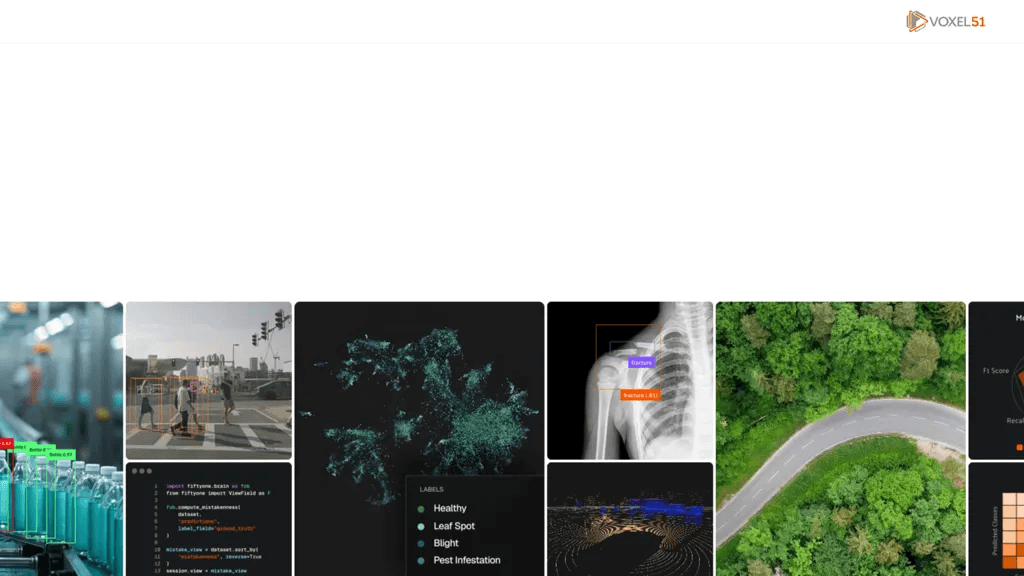voxel51.com 工具截图