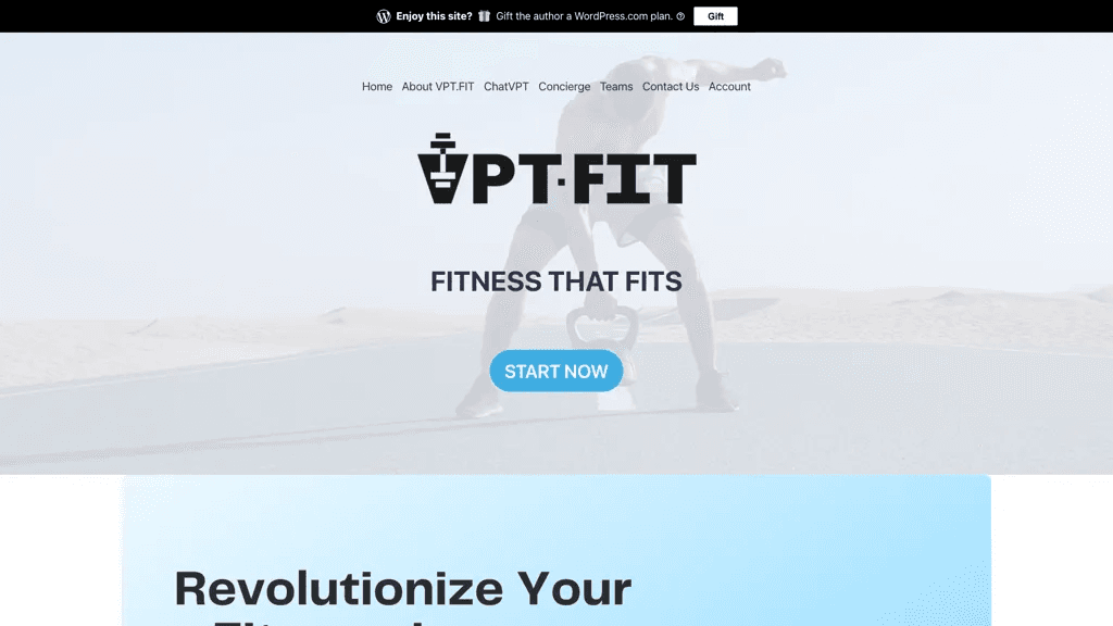 VPT.FIT 工具截图