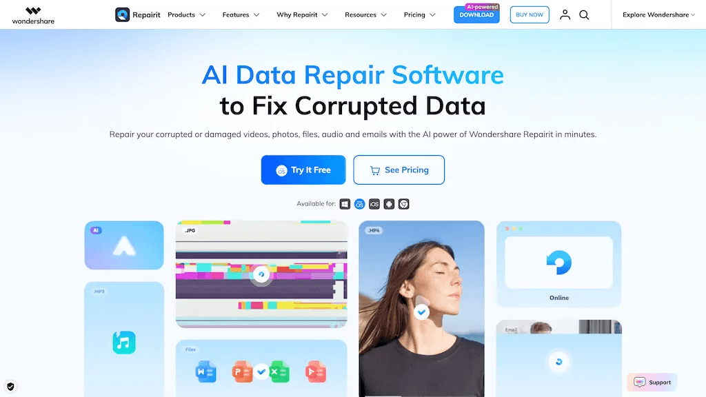 Wondershare Repairit 官网截图