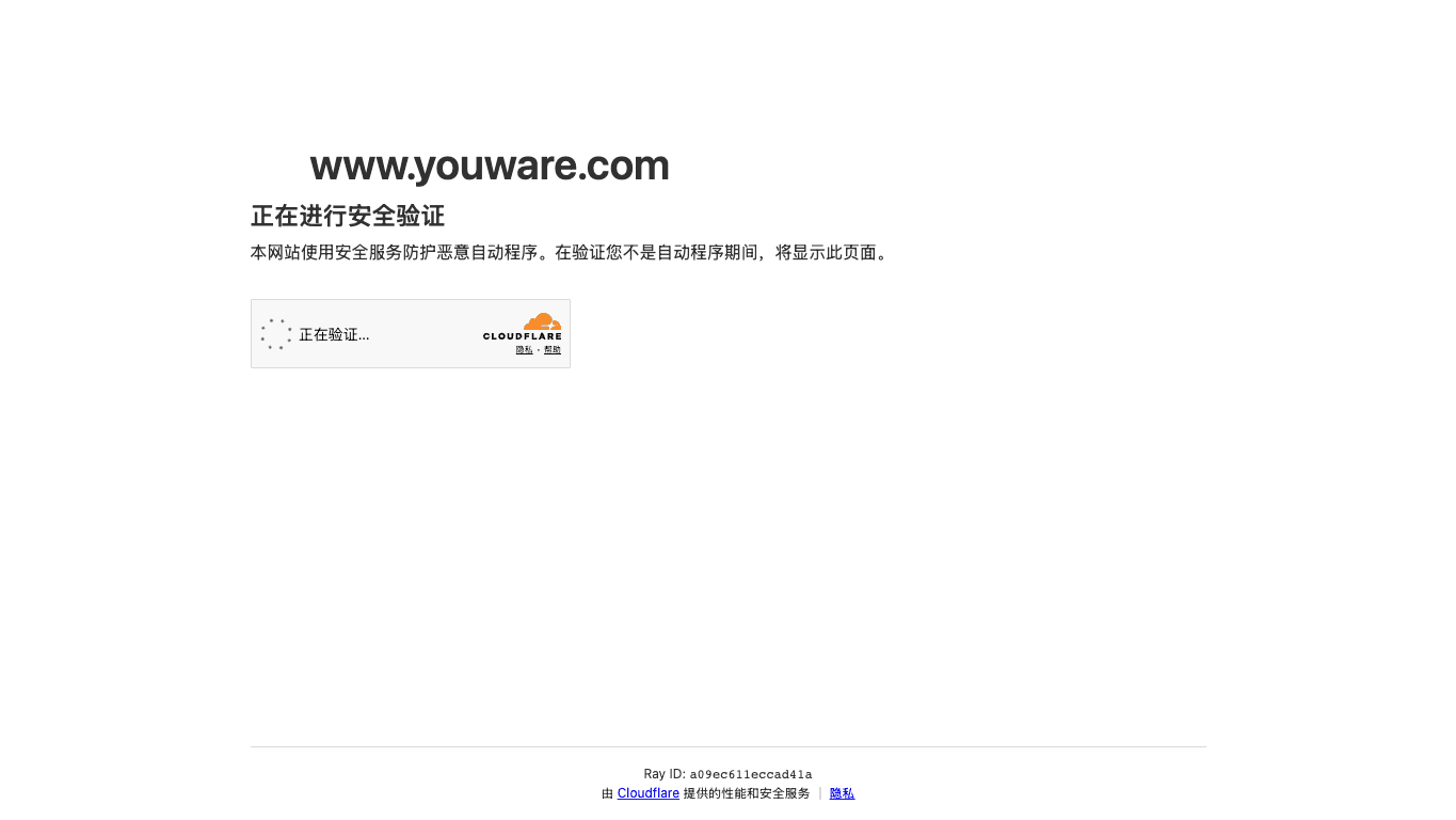 YouWare 工具截图